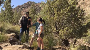 Wilpena Pound Day Walk